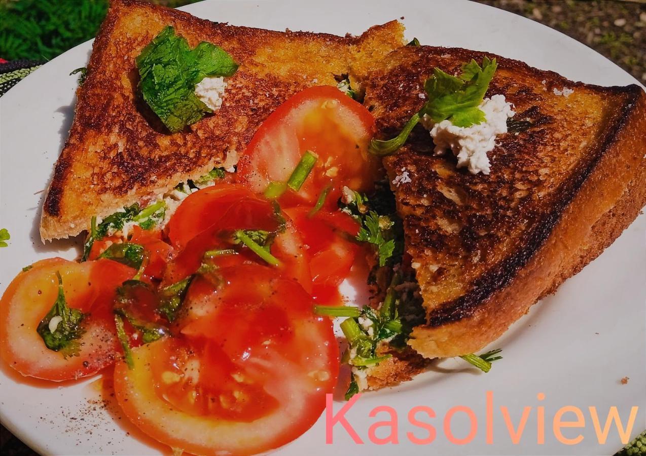Kasol View Otel Dış mekan fotoğraf